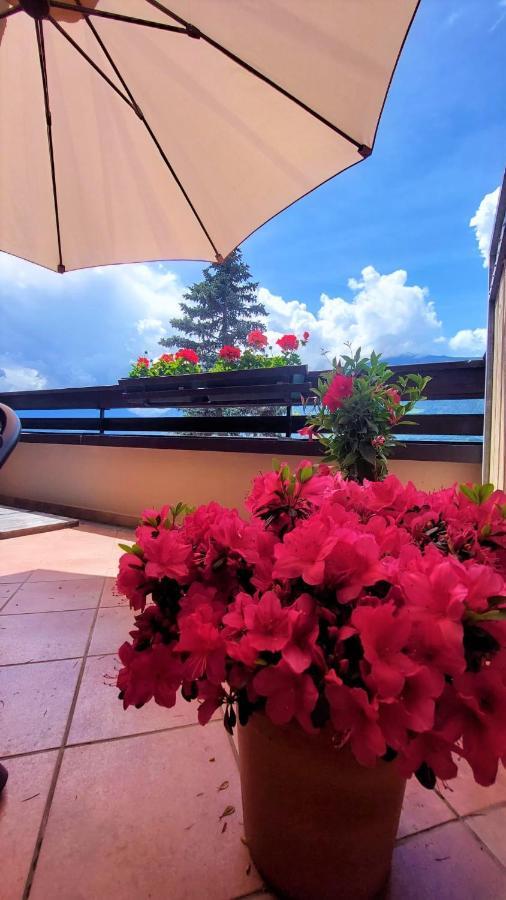 Nora S Home 4 - Panoramic Terrace & Bio Garden メラーノ エクステリア 写真